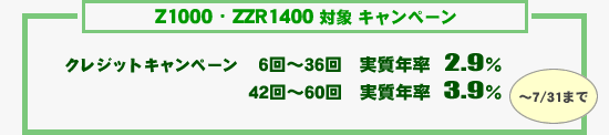 Z1000EZZR1400 Ώ Ly[