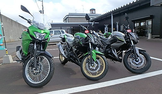 VERSYS-X Z250ABSSE Z250ABS